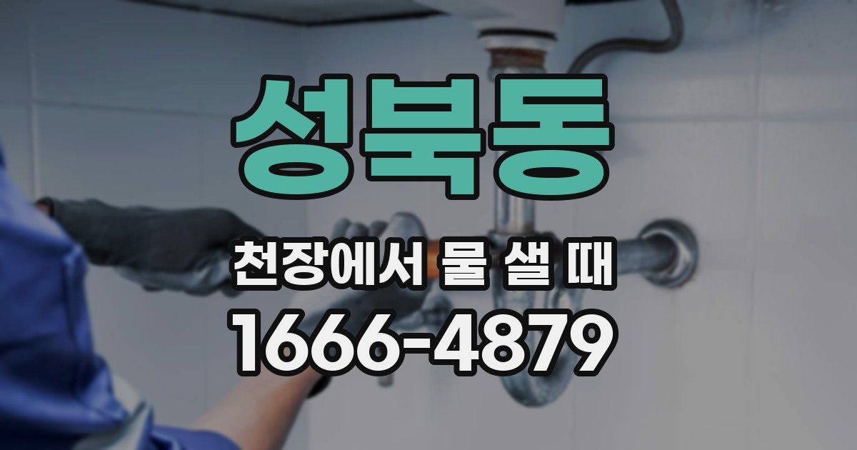 성북동 천장에서 물 샐 때