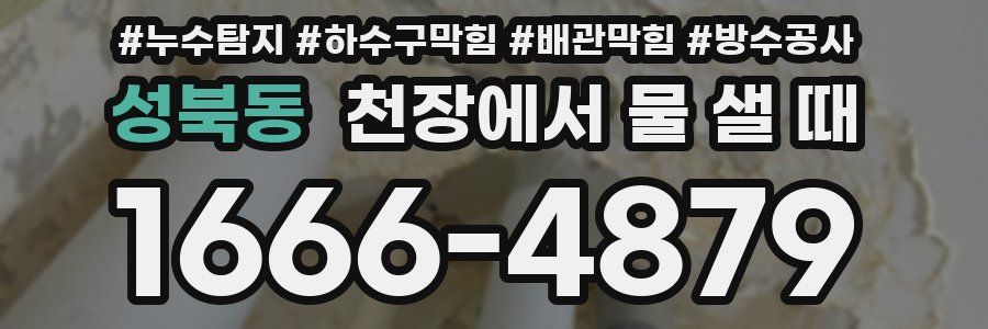 성북동 천장에서 물 샐 때