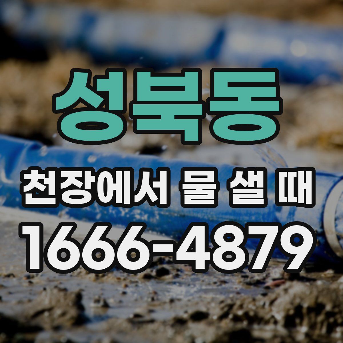 성북동 천장에서 물 샐 때