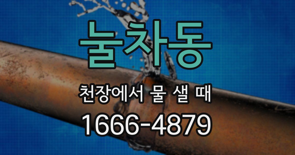 눌차동 천장에서 물 샐 때