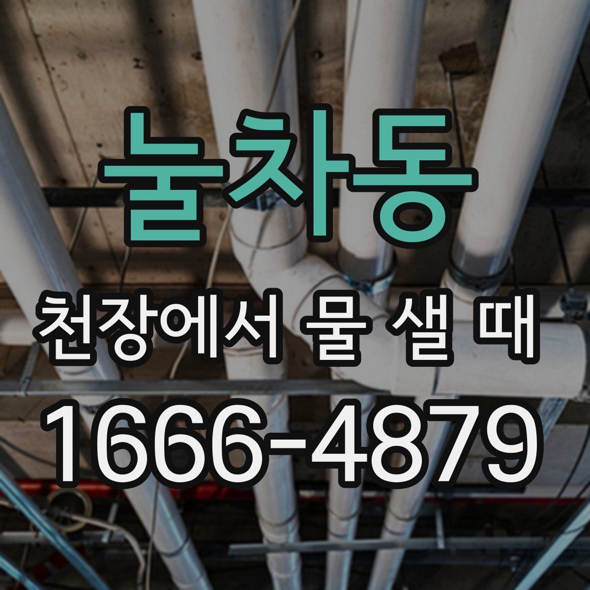 눌차동 천장에서 물 샐 때
