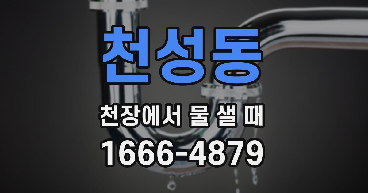 천성동 천장에서 물 샐 때