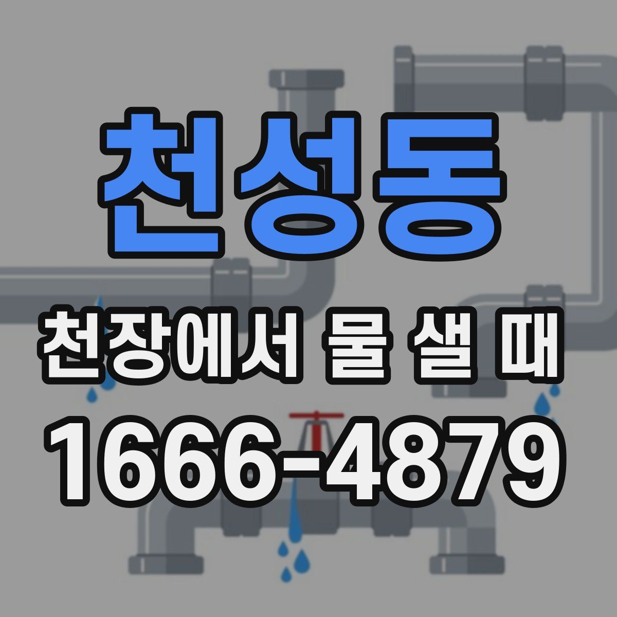 천성동 천장에서 물 샐 때