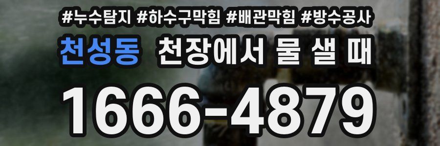 천성동 천장에서 물 샐 때