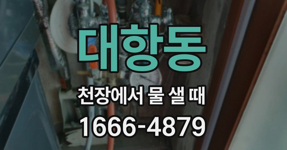 대항동 천장에서 물 샐 때