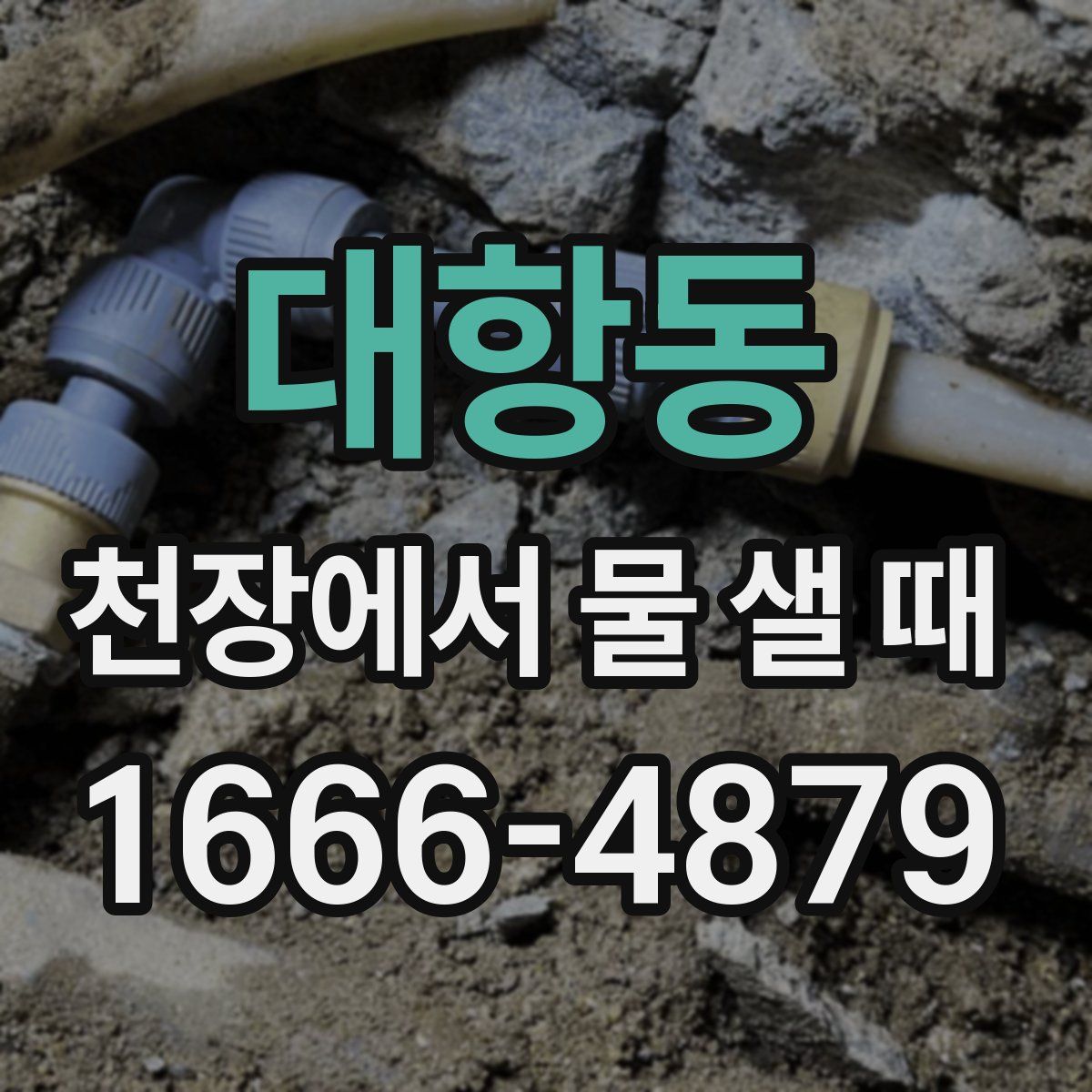 대항동 천장에서 물 샐 때