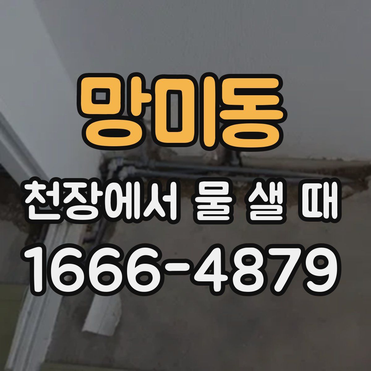 망미동 천장에서 물 샐 때