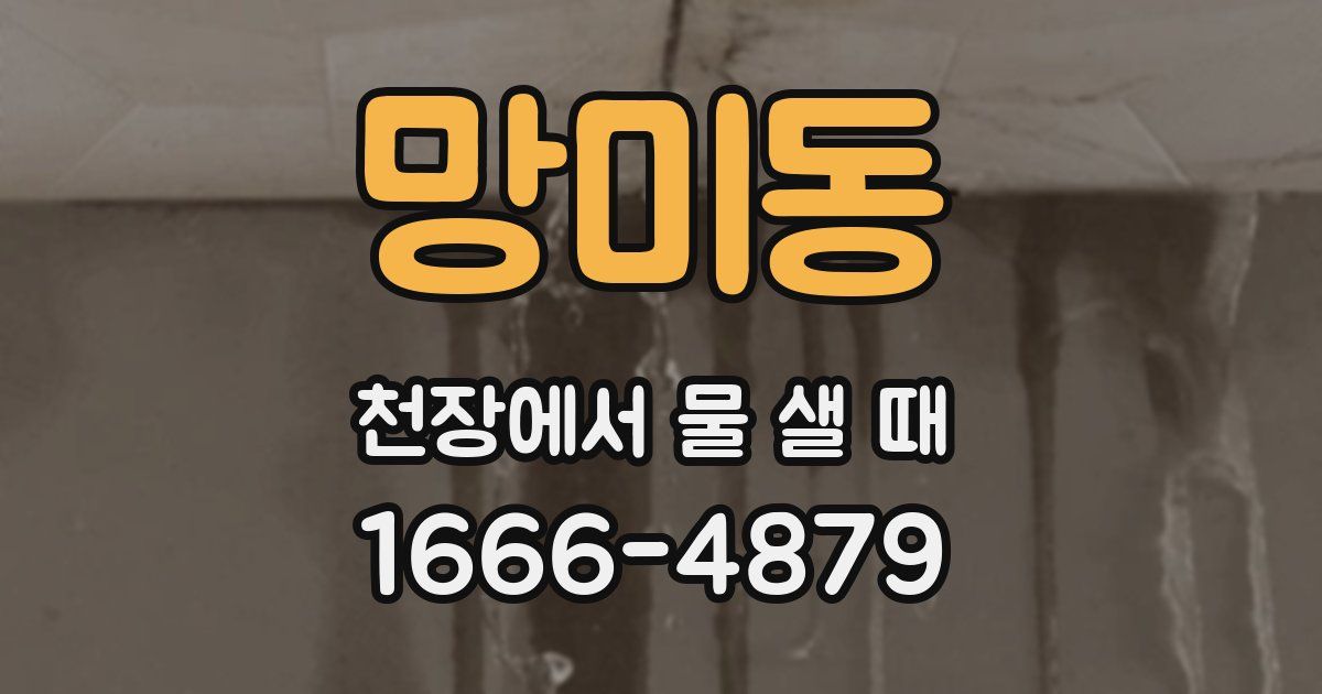 망미동 천장에서 물 샐 때
