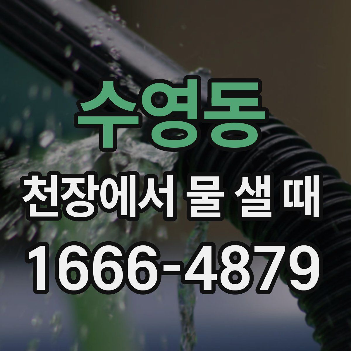 수영동 천장에서 물 샐 때