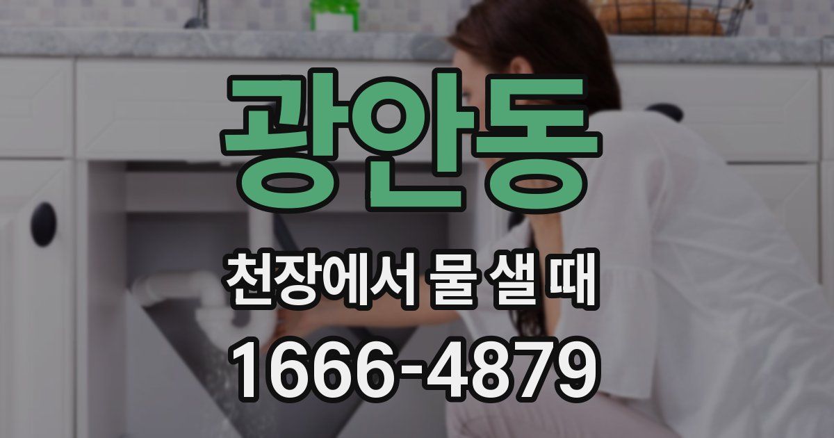 광안동 천장에서 물 샐 때