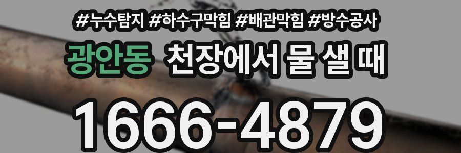 광안동 천장에서 물 샐 때