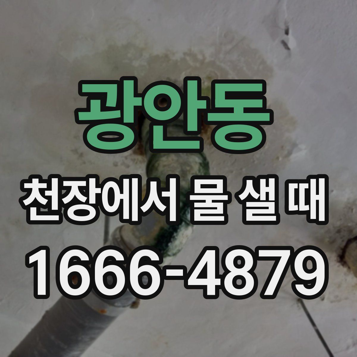 광안동 천장에서 물 샐 때