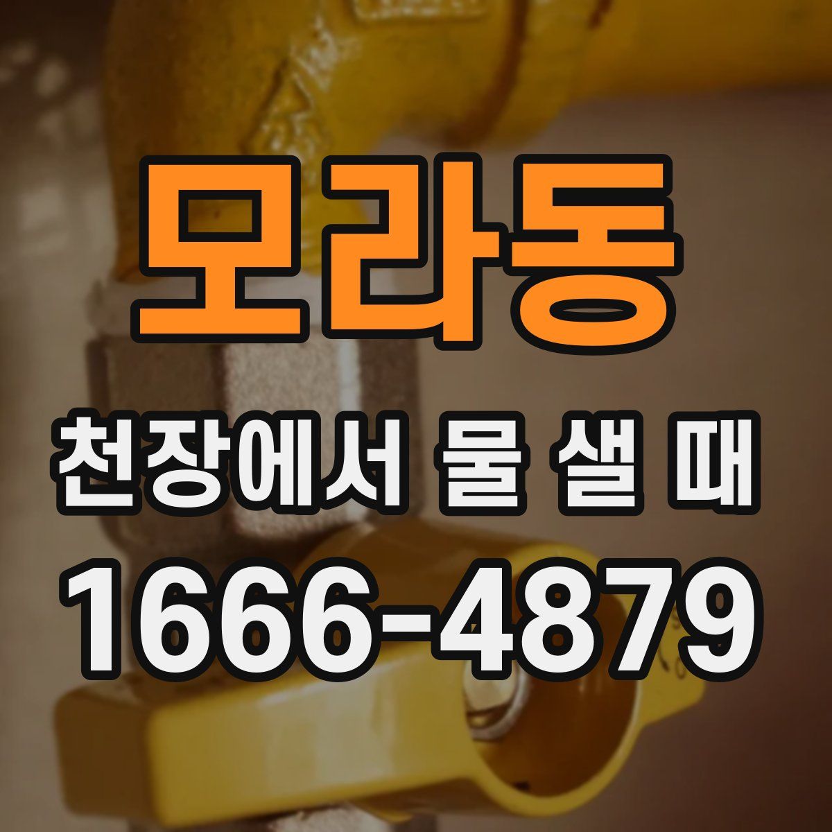 모라동 천장에서 물 샐 때