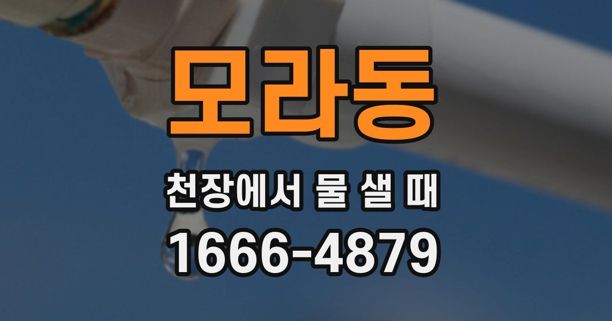 모라동 천장에서 물 샐 때