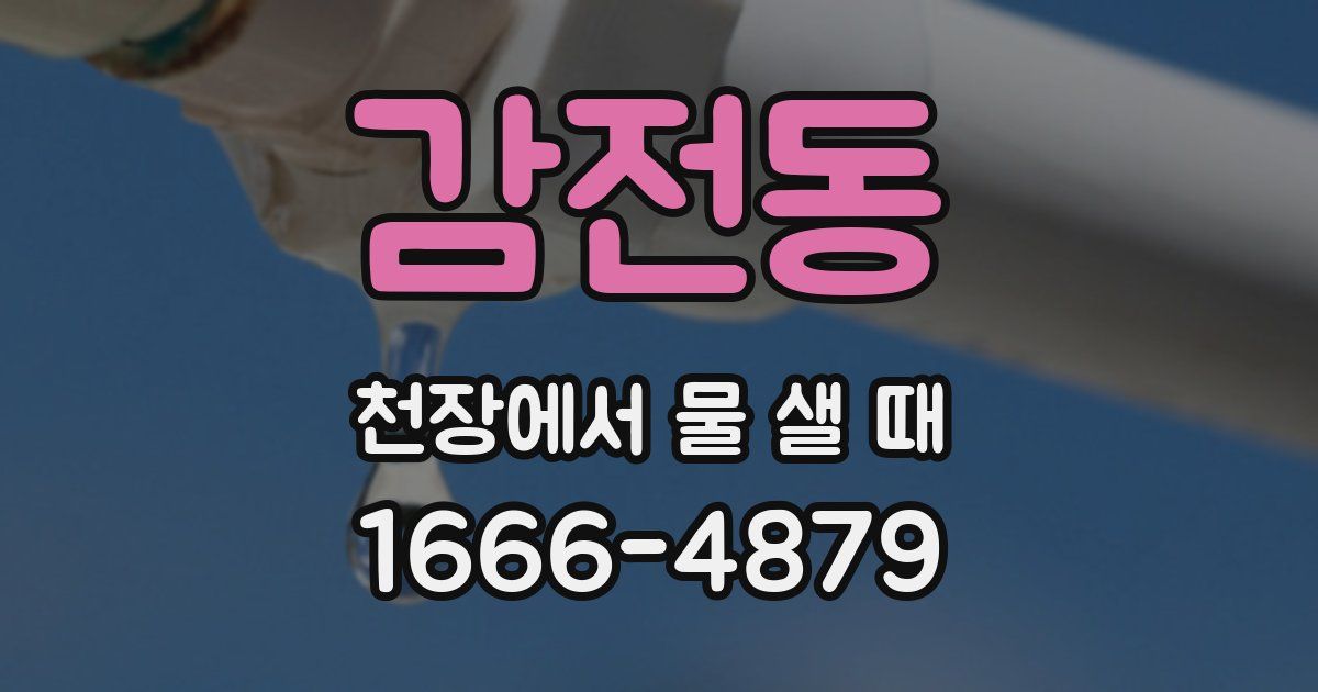 감전동 천장에서 물 샐 때