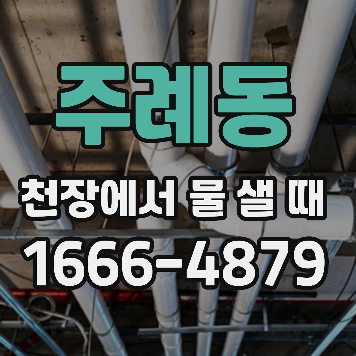 주례동 천장에서 물 샐 때