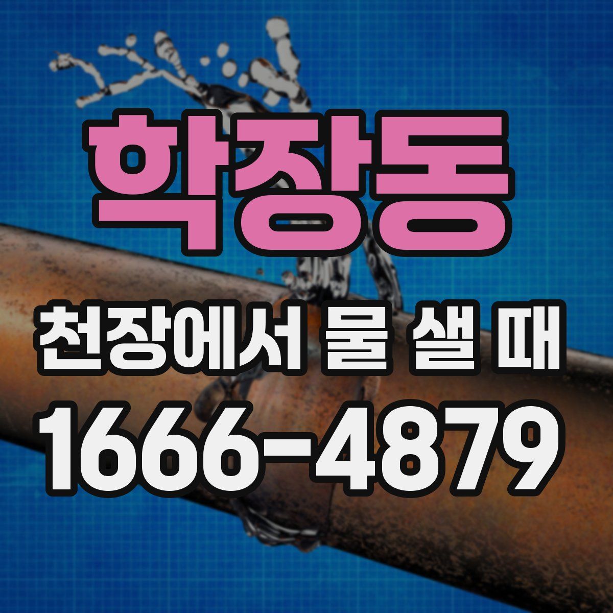학장동 천장에서 물 샐 때