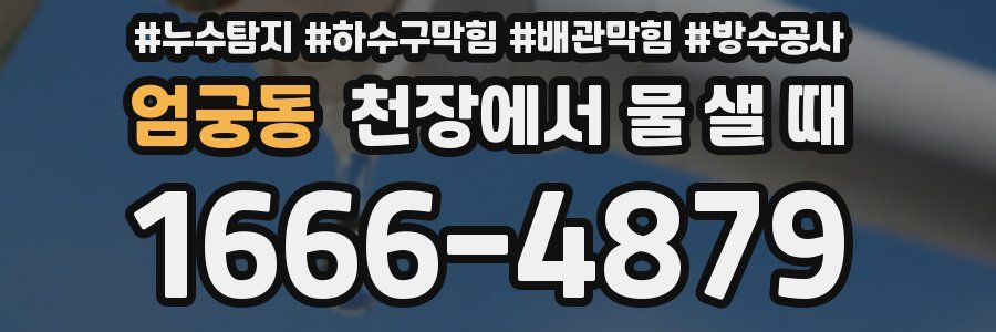 엄궁동 천장에서 물 샐 때