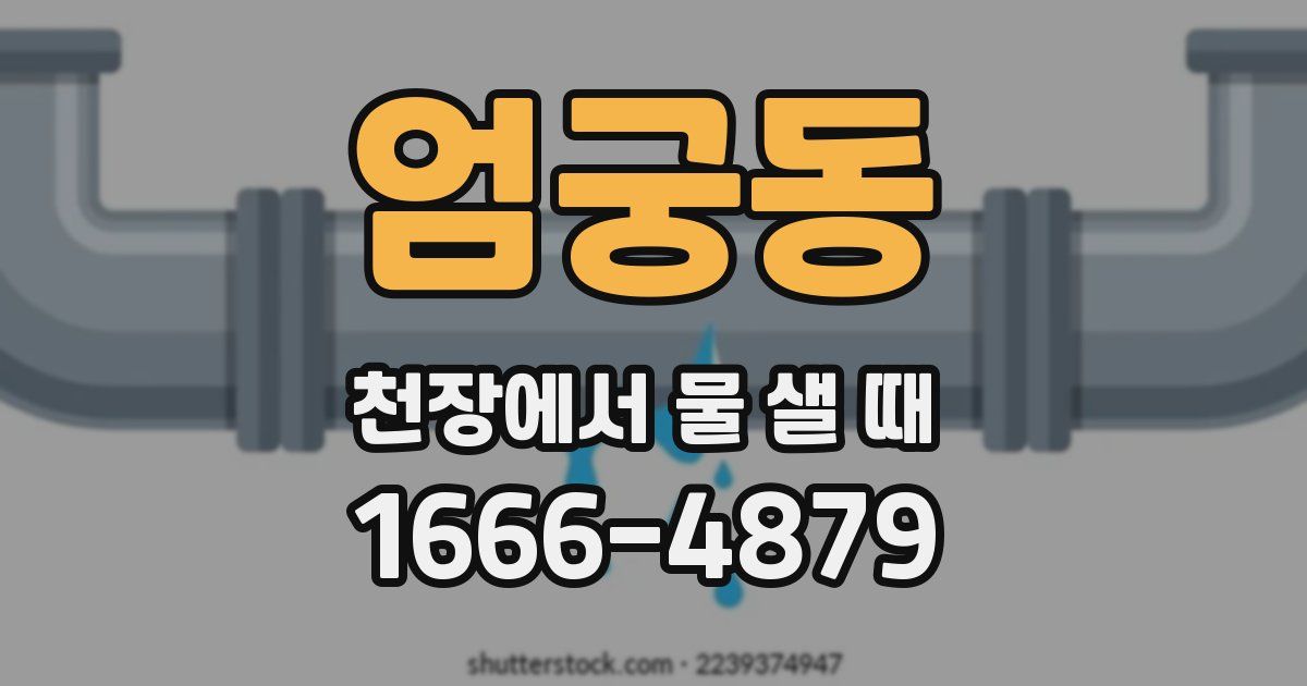 엄궁동 천장에서 물 샐 때