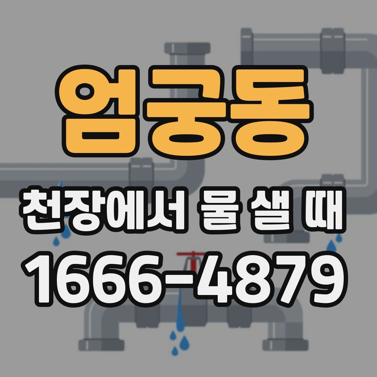 엄궁동 천장에서 물 샐 때