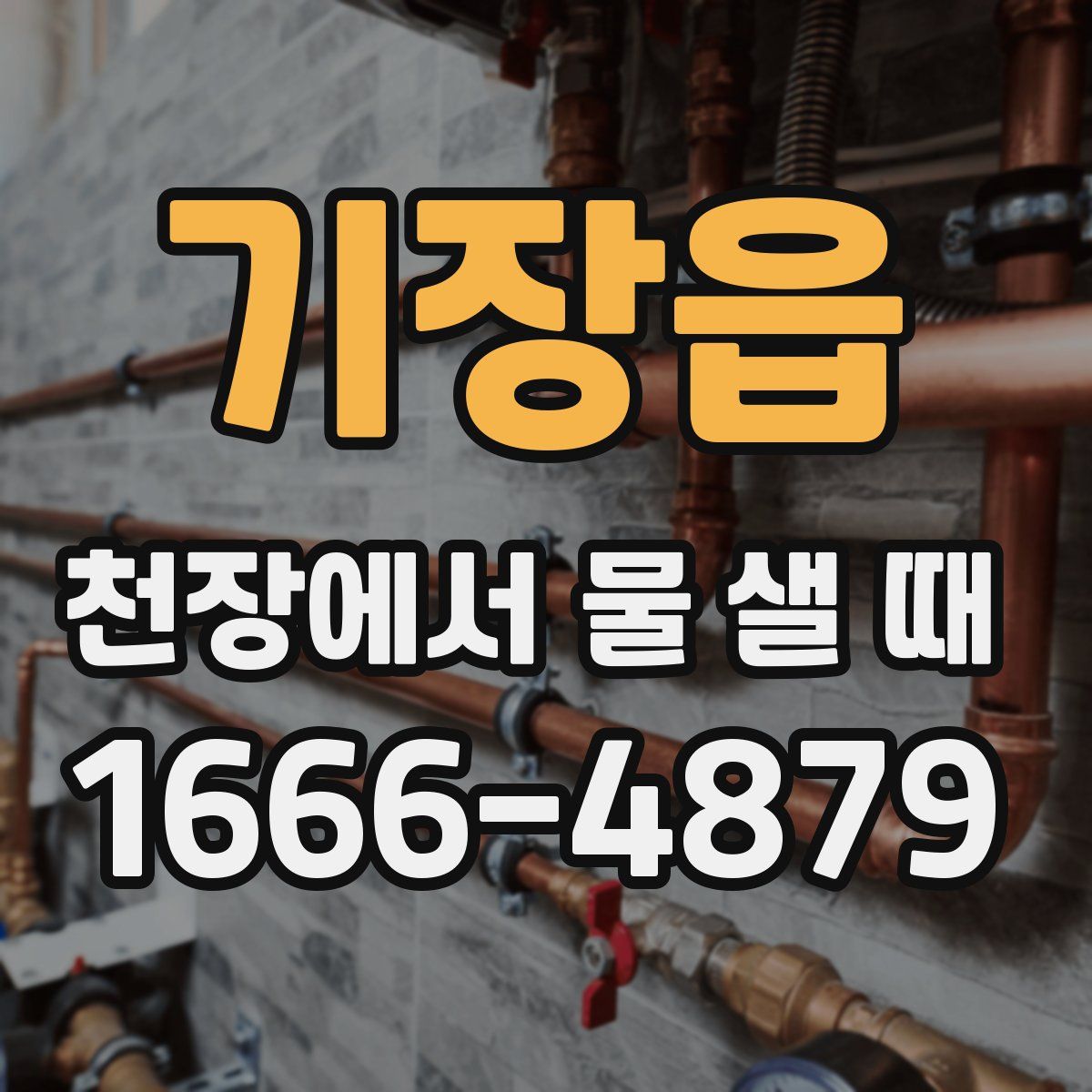 기장읍 천장에서 물 샐 때