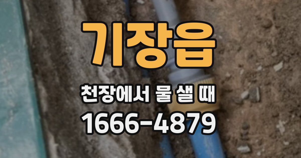 기장읍 천장에서 물 샐 때