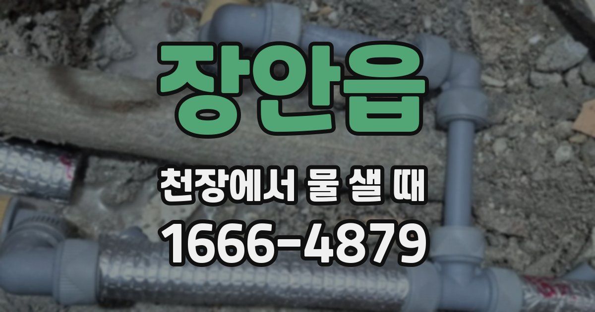 장안읍 천장에서 물 샐 때