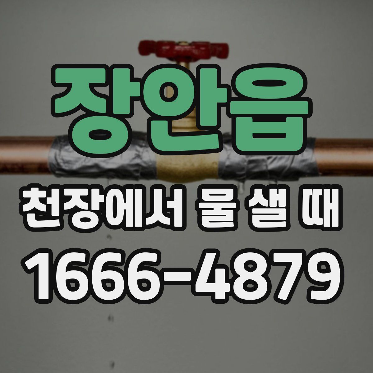 장안읍 천장에서 물 샐 때