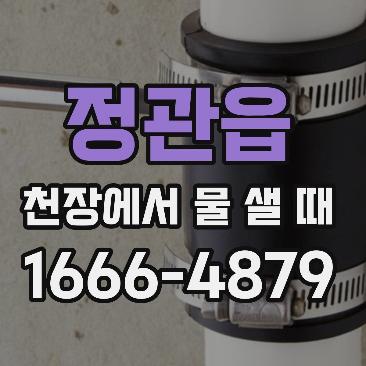 정관읍 천장에서 물 샐 때