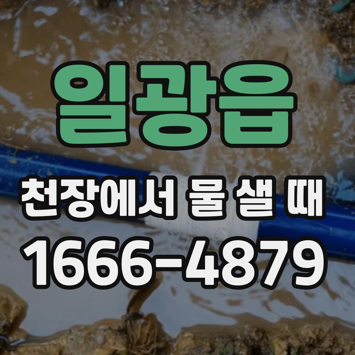 일광읍 천장에서 물 샐 때