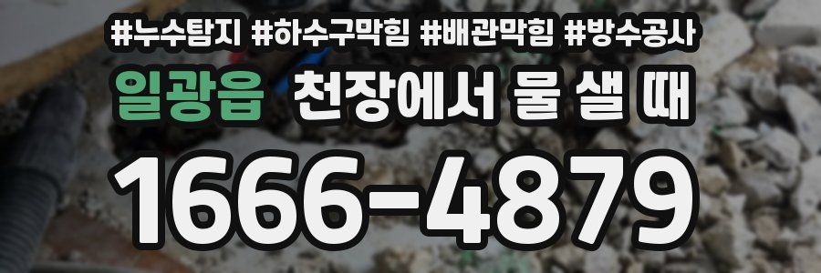 일광읍 천장에서 물 샐 때