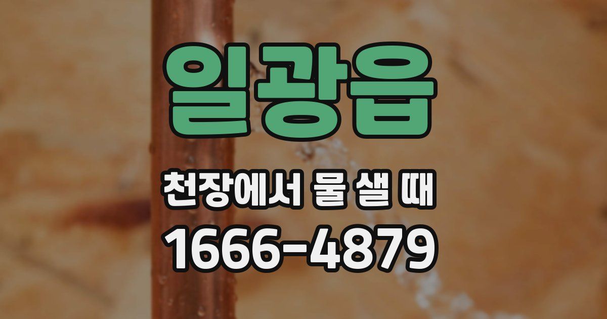 일광읍 천장에서 물 샐 때