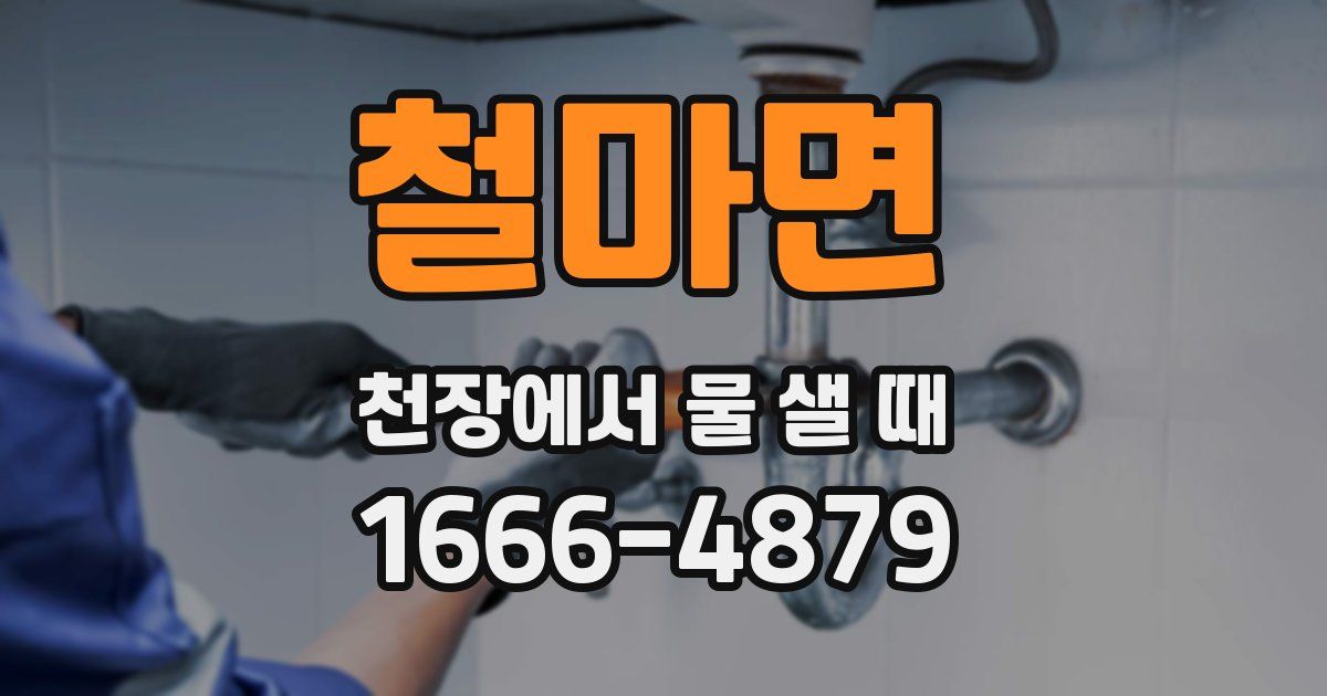 철마면 천장에서 물 샐 때