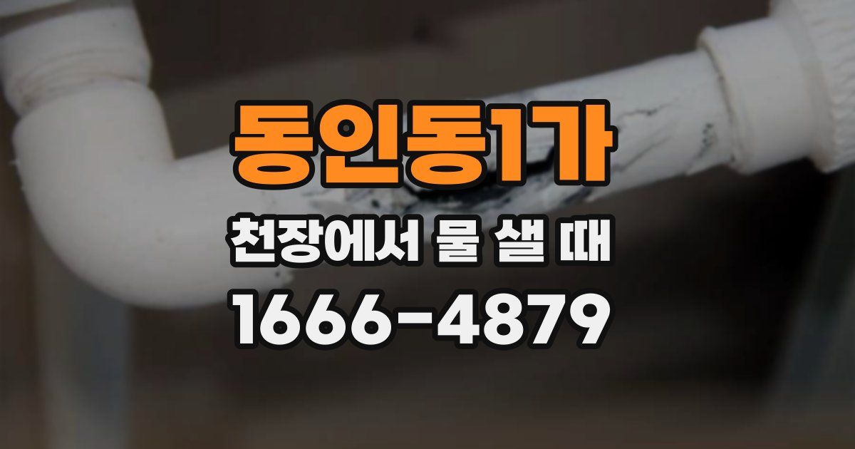 동인동1가 천장에서 물 샐 때