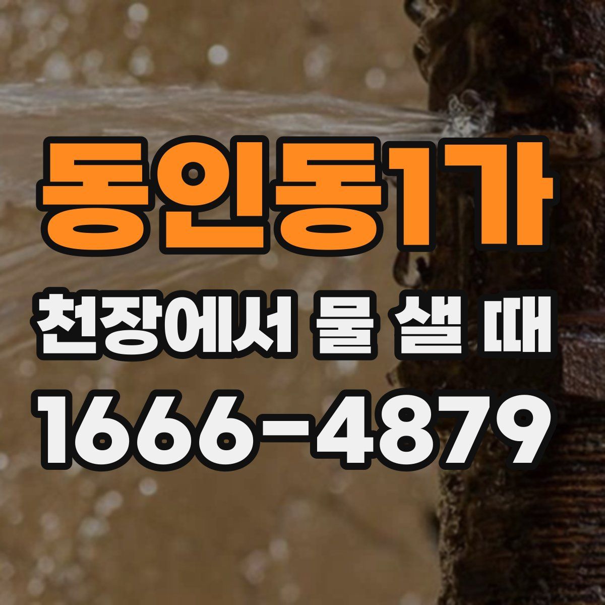 동인동1가 천장에서 물 샐 때