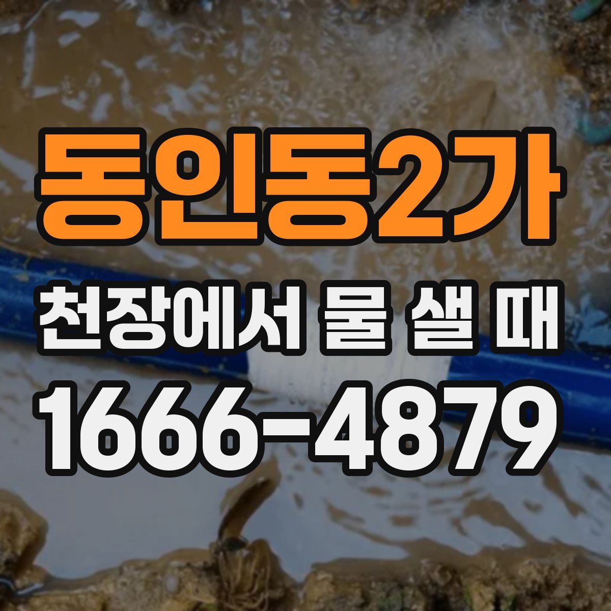 동인동2가 천장에서 물 샐 때