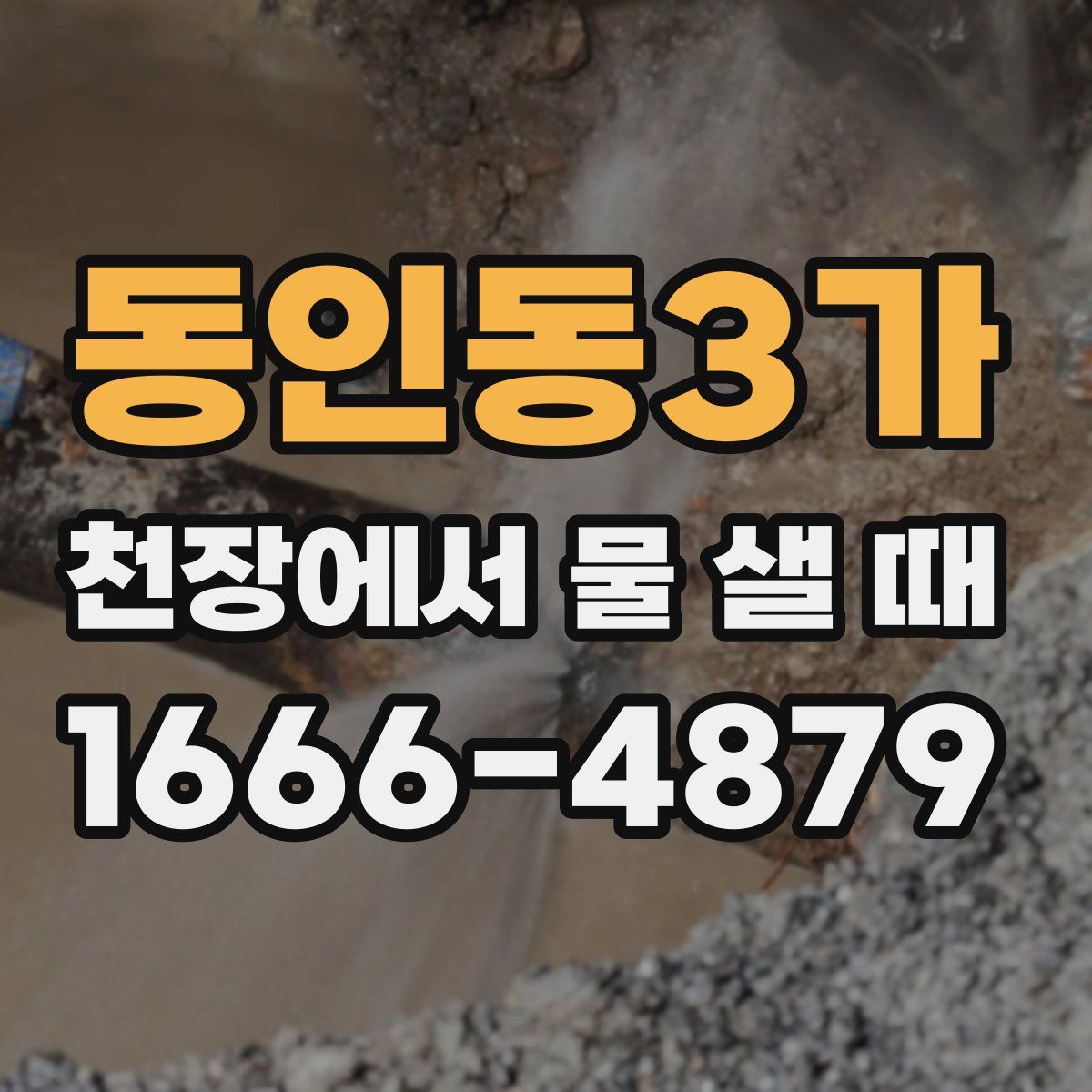 동인동3가 천장에서 물 샐 때