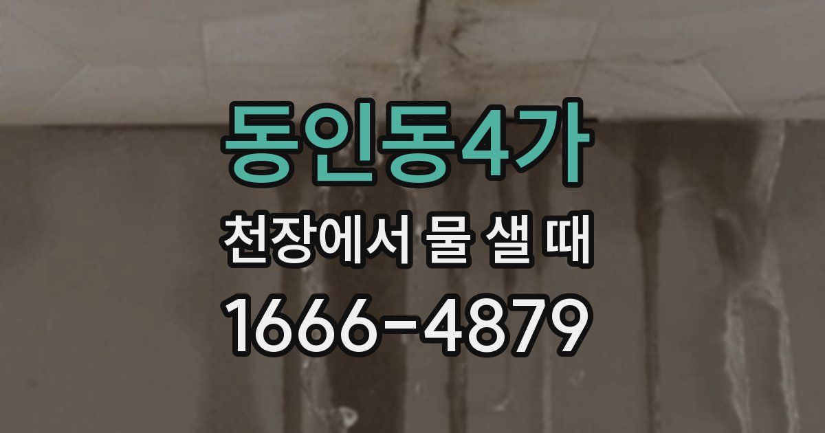 동인동4가 천장에서 물 샐 때