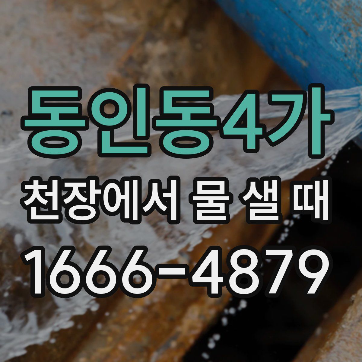 동인동4가 천장에서 물 샐 때