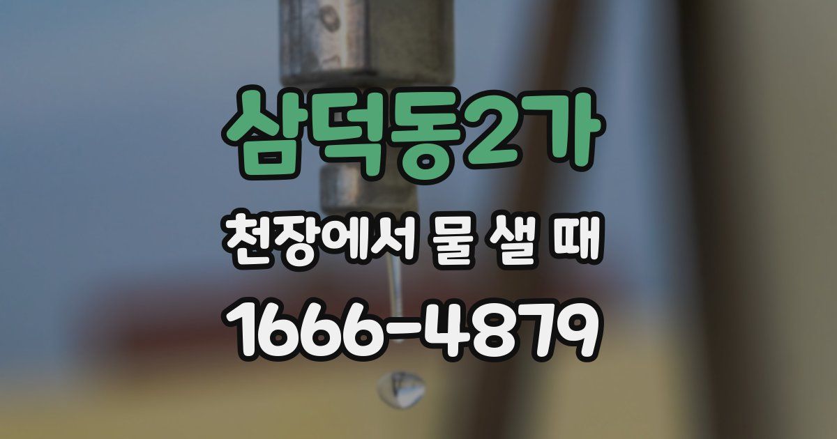 삼덕동2가 천장에서 물 샐 때