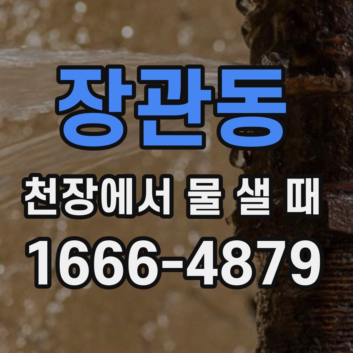 장관동 천장에서 물 샐 때