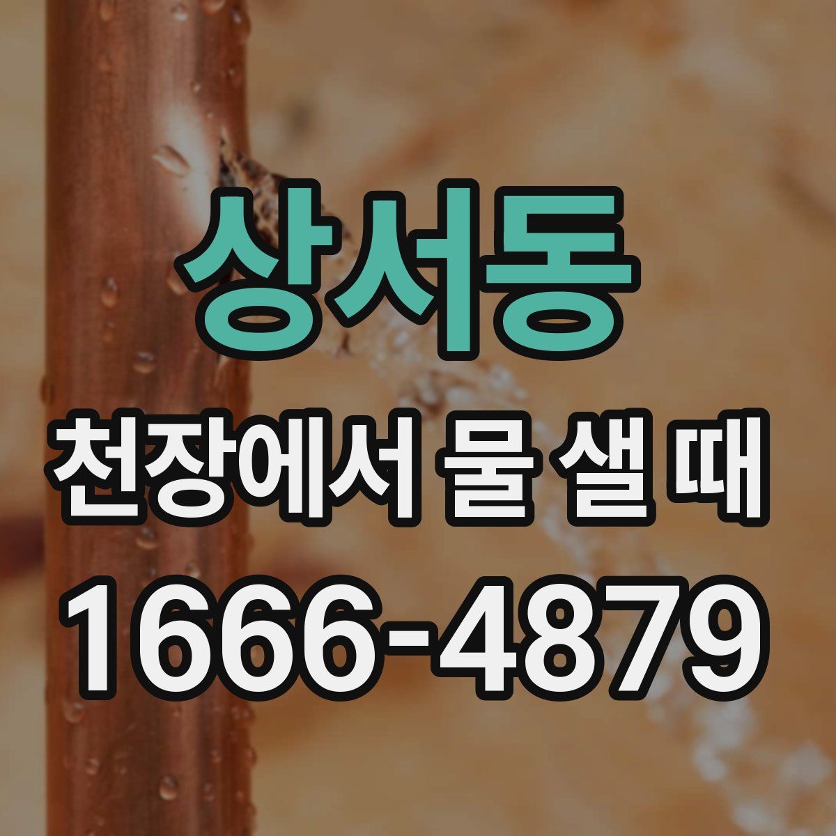 상서동 천장에서 물 샐 때