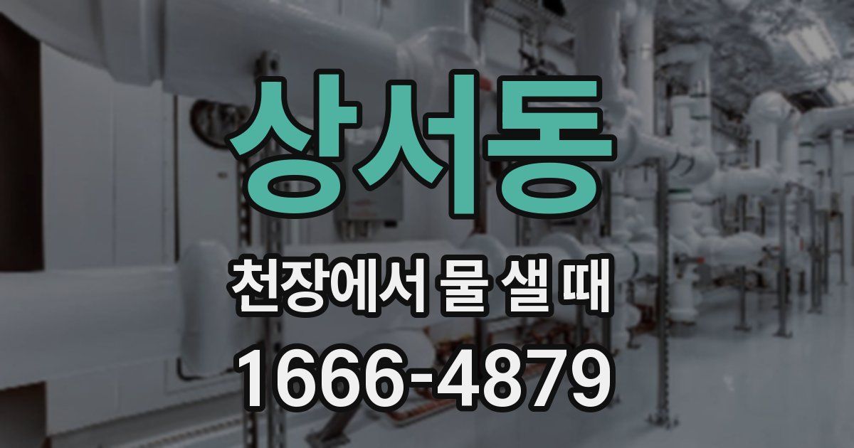 상서동 천장에서 물 샐 때