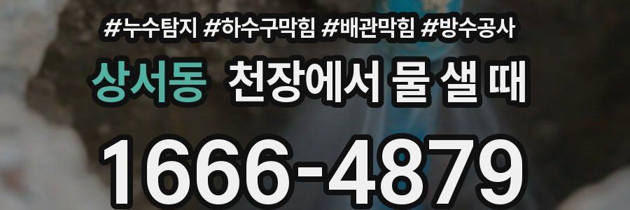 상서동 천장에서 물 샐 때