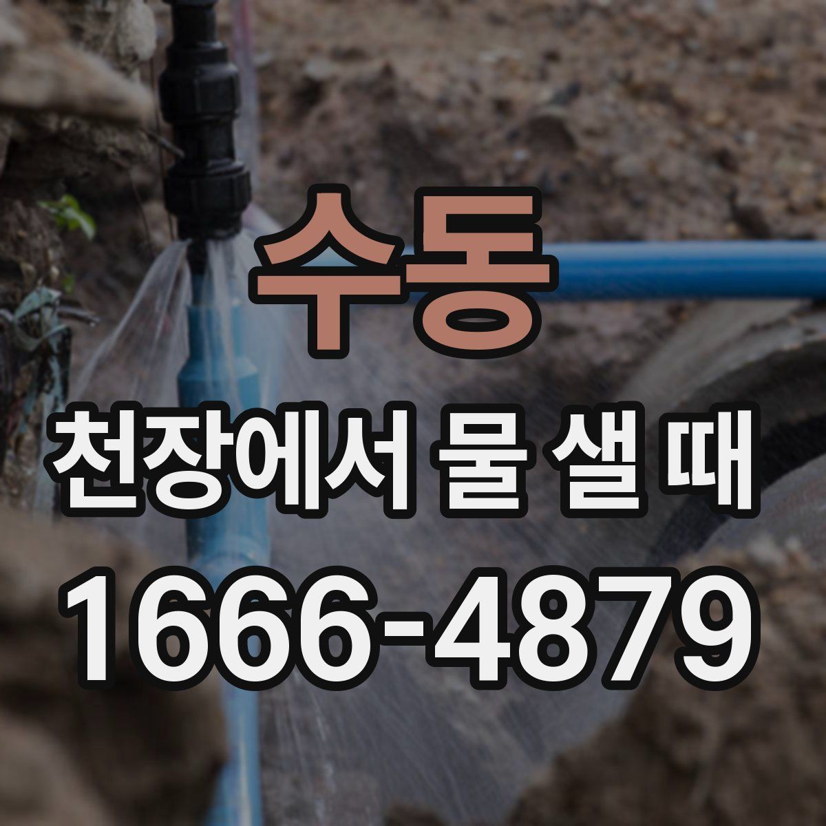 수동 천장에서 물 샐 때