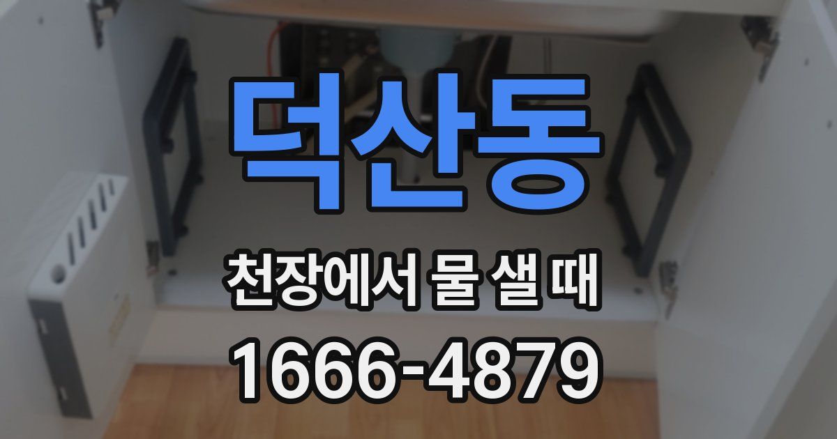 덕산동 천장에서 물 샐 때