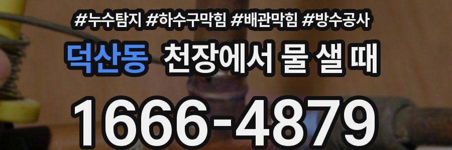 덕산동 천장에서 물 샐 때