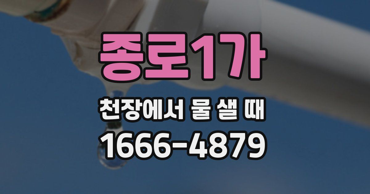 종로1가 천장에서 물 샐 때