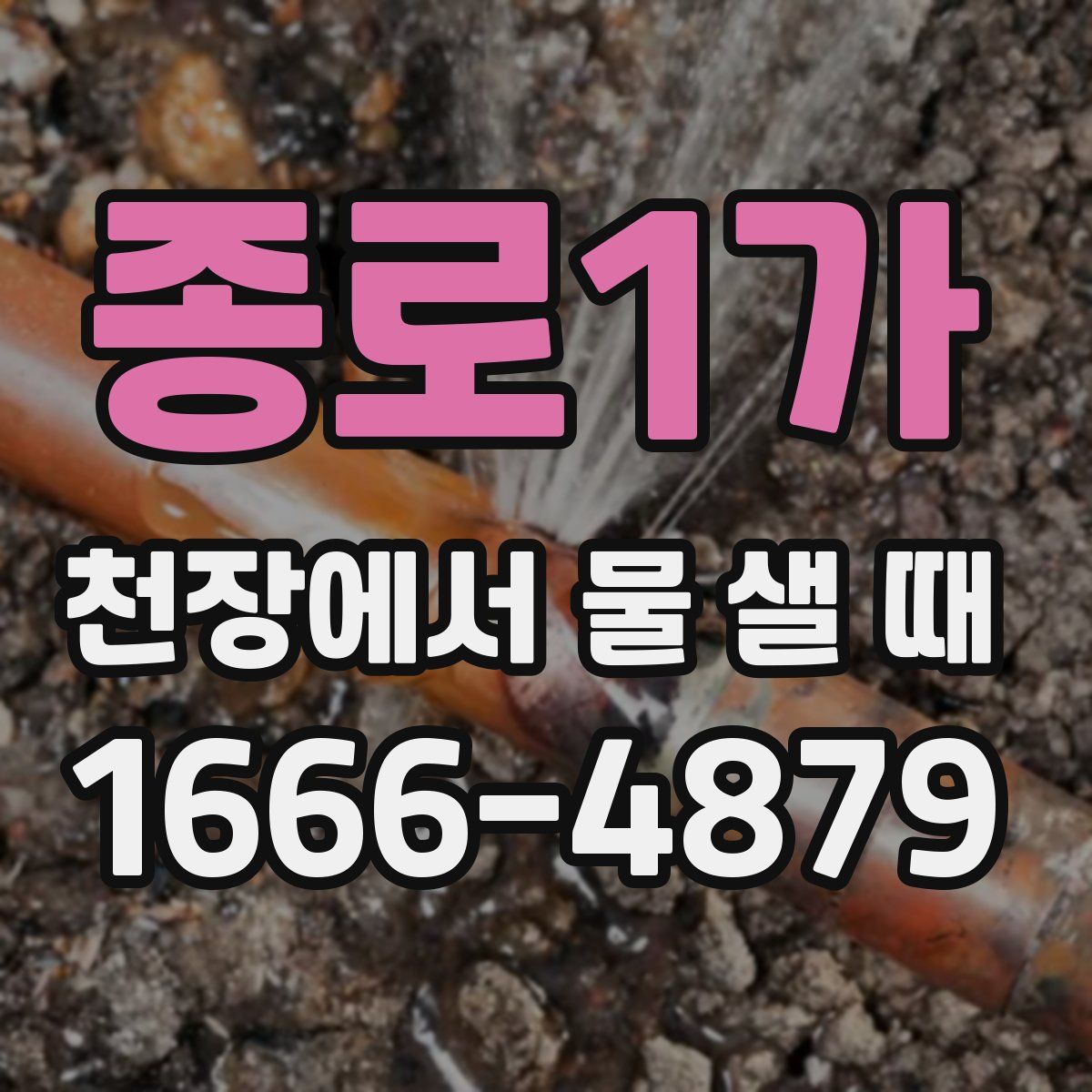종로1가 천장에서 물 샐 때