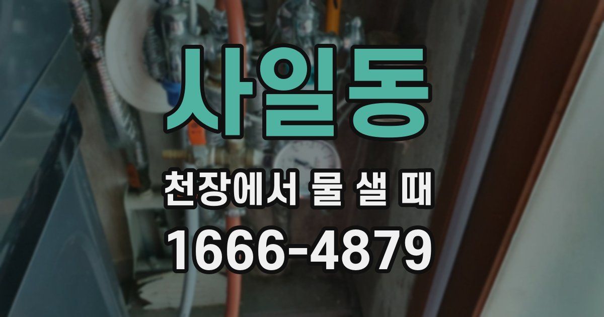 사일동 천장에서 물 샐 때